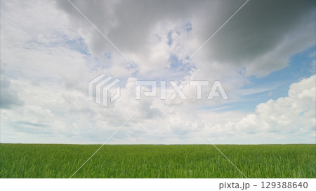 A Vast Expansive Green Field Spreads Out Under Dramatic and Captivating Clouds Above 129388640
