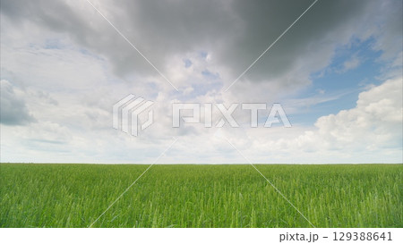 The Expansive Green Field Spreads Beautifully Under a Cloudy and Dynamic Sky Above The Expansive Green Field Spreads Beautifully Under a Cloudy and Dynamic Sky Above 129388641