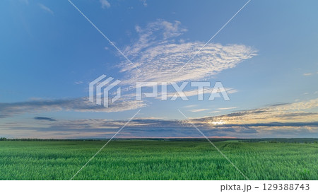 A Serene Landscape Showcasing Vast, Lush Green Fields Under a Dramatic, Colorful Sky 129388743