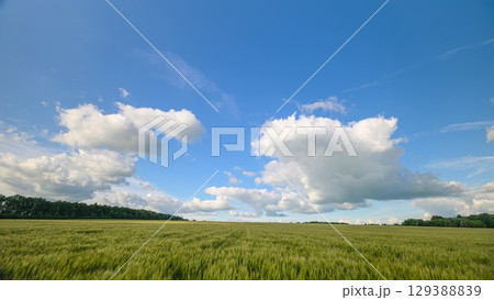A Serene Landscape Featuring Lush Green Fields Set Against Dramatic Clouds Above 129388839