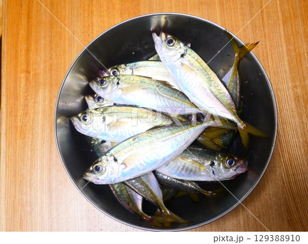 鯵が釣れました 129388910