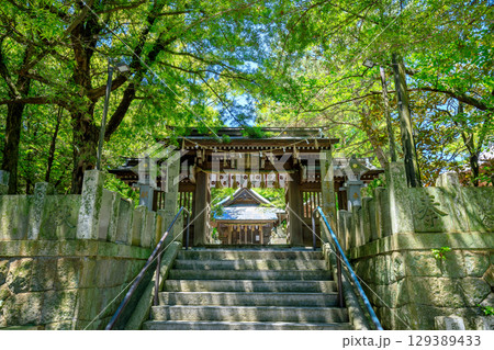 初夏の志式神社　福岡県福岡市 129389433