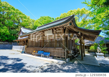初夏の志式神社 福岡県福岡市 初夏の志式神社 福岡県福岡市 129389436