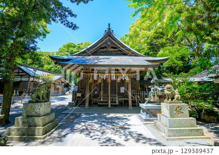 初夏の志式神社　福岡県福岡市 129389437