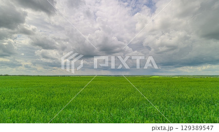 A Vast Lush Green Field Under Dramatic and Beautiful Clouds Displaying Natures Splendor A Vast Lush Green Field Under Dramatic and Beautiful Clouds Displaying Natures Splendor 129389547