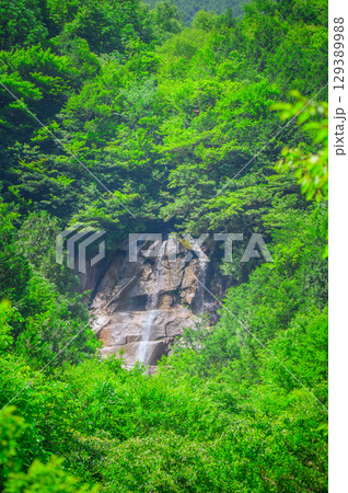 【阿寺渓谷】雨現の滝【木曽郡大桑村】 【阿寺渓谷】雨現の滝【木曽郡大桑村】 129389988