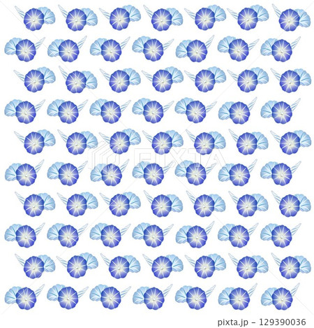 朝顔の壁紙イラスト 朝顔の壁紙イラスト 129390036