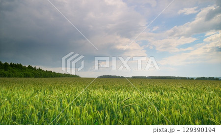 A Serene Landscape Featuring Expansive Green Fields Beneath a Beautifully Cloudy Sky A Serene Landscape Featuring Expansive Green Fields Beneath a Beautifully Cloudy Sky 129390194