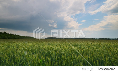 Lush, expansive green fields stretch underneath a dramatically beautiful, cloudy sky above 129390202