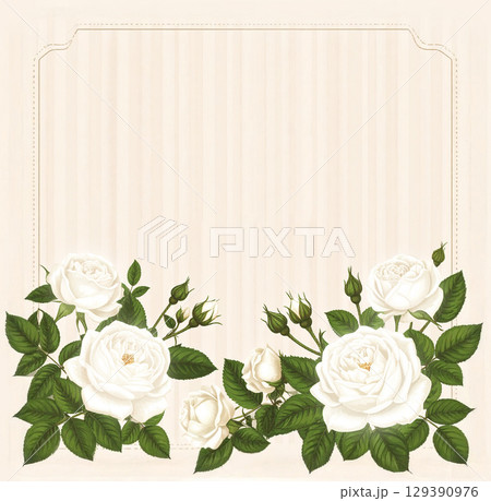 白いバラのレトロなフレーム 129390976