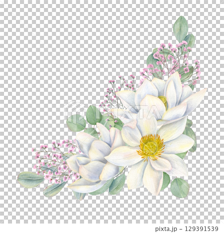 White lotus flower heads, pink gypsophila branch and eucalyptus leaves watercolor template on isolated background. Water lilies, baby breath plant, leaves illustration. For wedding invitation, cards. 129391539