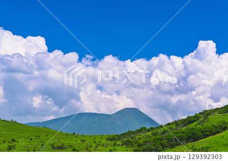 夏の霧ヶ峰から望む蓼科山　 129392303