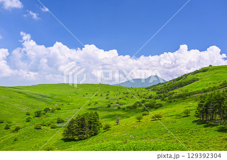 夏の霧ヶ峰から望む蓼科山 夏の霧ヶ峰から望む蓼科山 129392304