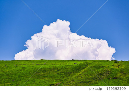 夏の入道雲と高原　霧ヶ峰 129392309