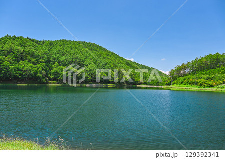 夏の蓼の海公園 129392341