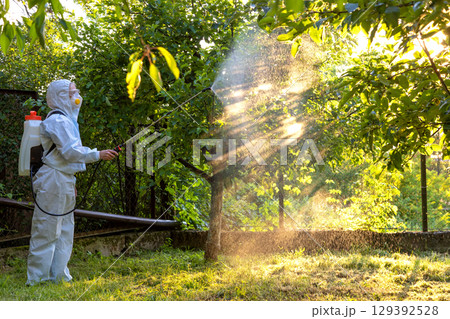 A gardener in a protective suit, mask and glasses uses a professional sprayer to treat the garden with insecticides and fungicides from pests A gardener in a protective suit, mask and glasses uses a professional sprayer to treat the garden with insecticides and fungicides from pests 129392528