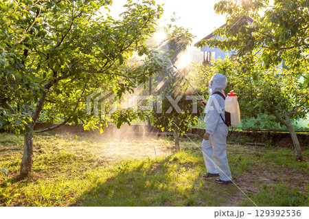 A gardener in a protective suit, mask and glasses uses a professional sprayer to treat the garden with insecticides and fungicides from pests 129392536