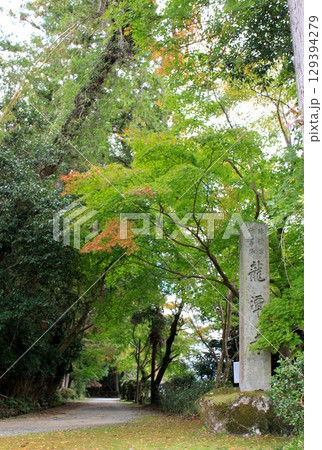 龍潭寺紅葉 129394279