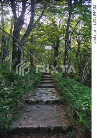 大台ヶ原の風景 大台ヶ原の風景 129394402