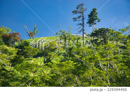大台ヶ原の風景 大台ヶ原の風景 129394408