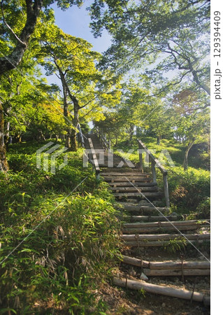 大台ヶ原の風景 129394409