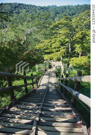 大台ヶ原の風景 大台ヶ原の風景 129394410
