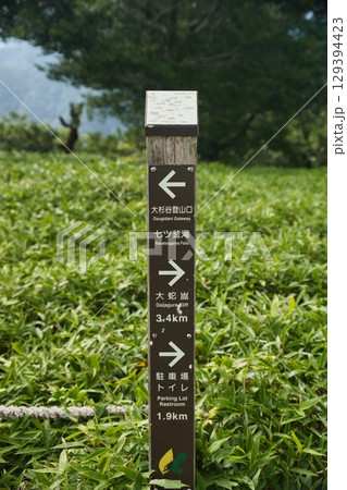 大台ヶ原の風景 大台ヶ原の風景 129394423