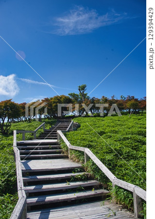 大台ヶ原の風景 大台ヶ原の風景 129394429