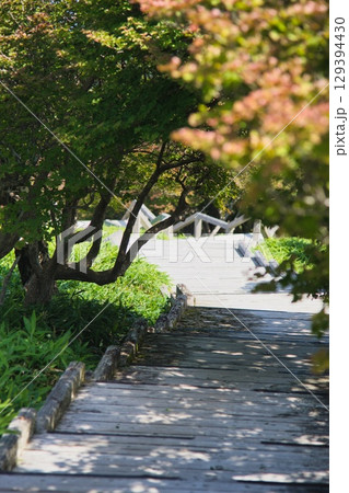 大台ヶ原の風景 129394430