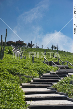 大台ヶ原の風景 129394439