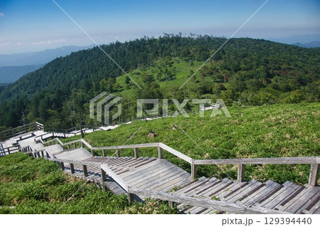 大台ヶ原の風景 大台ヶ原の風景 129394440