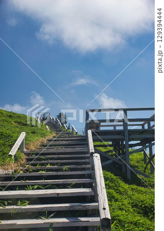 大台ヶ原の風景 大台ヶ原の風景 129394444
