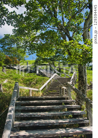 大台ヶ原の風景 129394445
