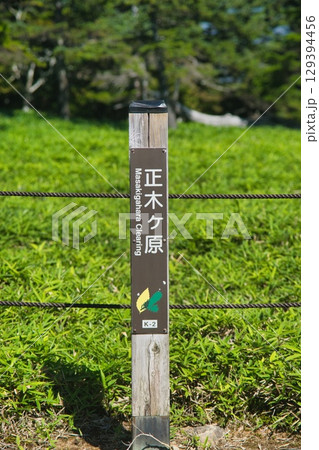 大台ヶ原の風景 129394456