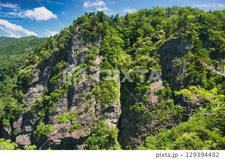 大台ヶ原の風景 129394482