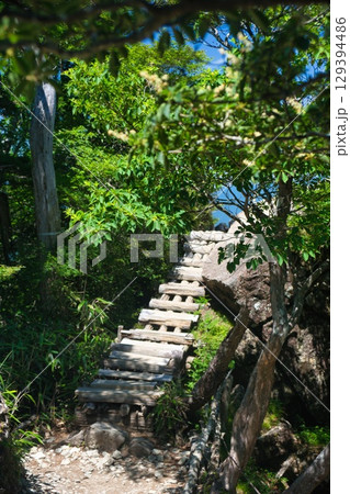 大台ヶ原の風景 129394486