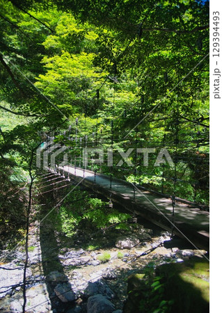 大台ヶ原の風景 大台ヶ原の風景 129394493