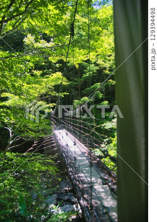 大台ヶ原の風景 129394498