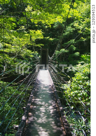 大台ヶ原の風景 大台ヶ原の風景 129394513