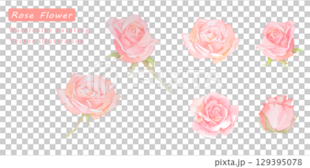 水彩で描いた美しいピンクのバラのベクターイラスト素材セット 129395078