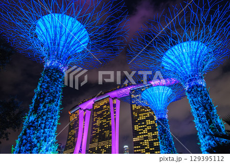 シンガポール 夜のガーデンズ・バイ・ザ・ベイ シンガポール 夜のガーデンズ・バイ・ザ・ベイ 129395112