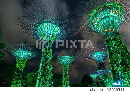シンガポール 夜のガーデンズ・バイ・ザ・ベイ 129395114