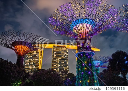 シンガポール 夜のガーデンズ・バイ・ザ・ベイ 129395116