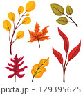 Autumn leaves hand drawn style isolated on white background. Flat autumn forest leaves. 129395625