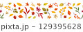 Seamless horizontal border with autumn leaves pattern, isolated on white background. Design for harvest holiday. 129395628