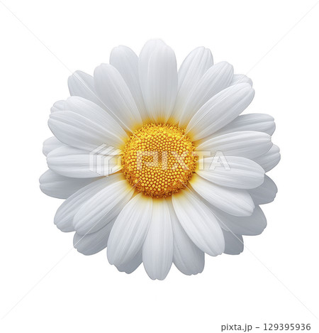 Single white daisy with vibrant yellow center is displayed against plain background, showcasing its delicate petals and natural beauty 129395936