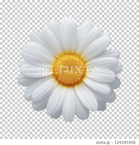 Single white daisy with vibrant yellow center is displayed against plain background, showcasing its delicate petals and natural beauty 129395936