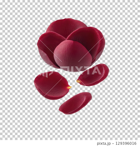 Vibrant red rose with delicate petals is beautifully arranged, showcasing its natural elegance and intricate texture. petals are scattered artistically, creating sense of movement and grace 129396016