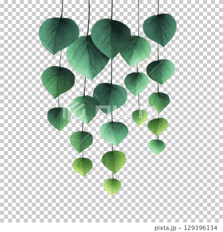 Cascading arrangement of green heart shaped leaves creates soothing and natural aesthetic. leaves vary in shades from dark to light green, adding depth and texture to composition 129396134