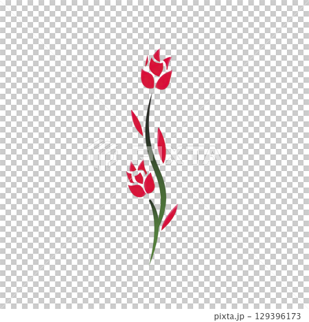 Simple illustration of two red flowers with green stems and leaves on transparency background, showcasing minimalist and elegant design 129396173